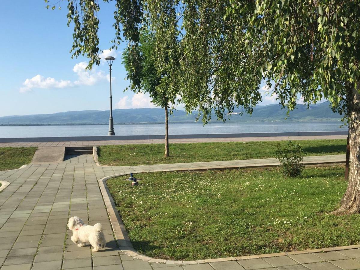 Apartmani Vidikovac Golubac Luaran gambar